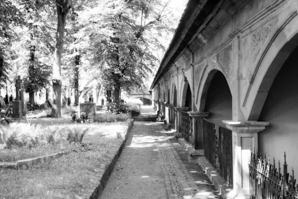 Alte Friedhöfe: ein schwarz-weiß Foto vom Stadtgottesacker in Halle