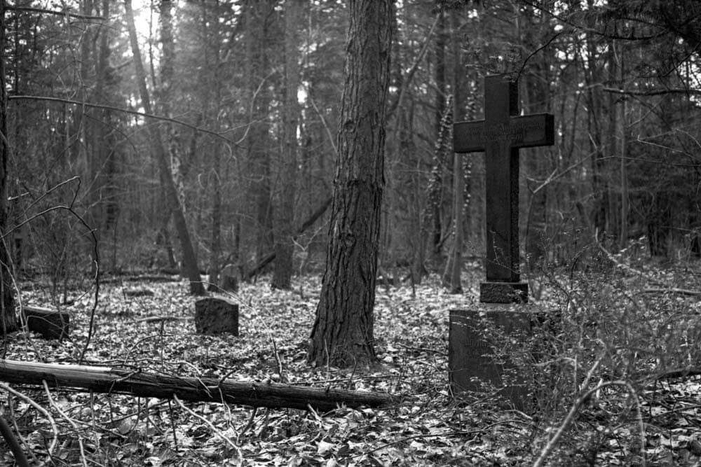 Foto von Grabsteinen in einem verwilderten Abschnitt des Südwestkirchhofes Stahnsdorf