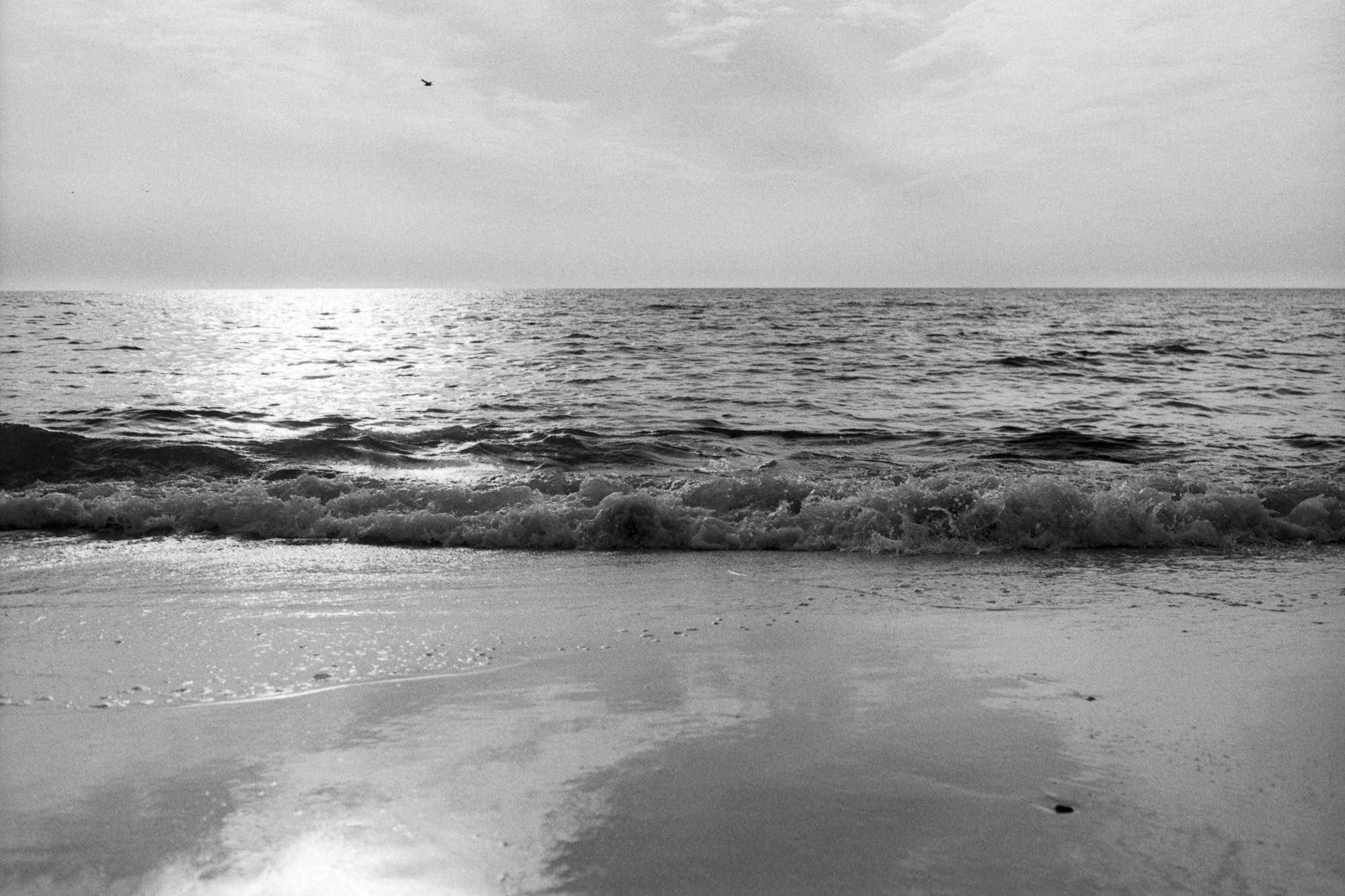 Schwarzweiß Foto mit Blick auf die Nordsee, aufgenommen 2024